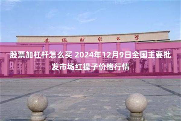 股票加杠杆怎么买 2024年12月9日全国主要批发市场红提子价格行情