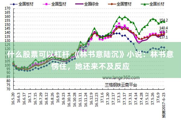 什么股票可以杠杆 《林书意陆沉》小说：林书意愣住，她还来不及反应